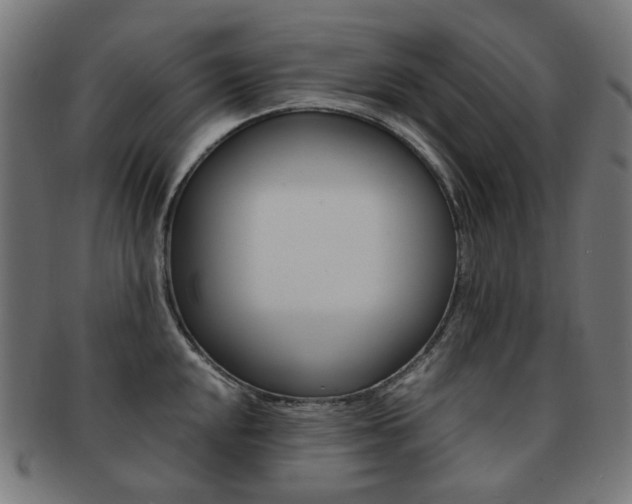 X0000092021048200709061326