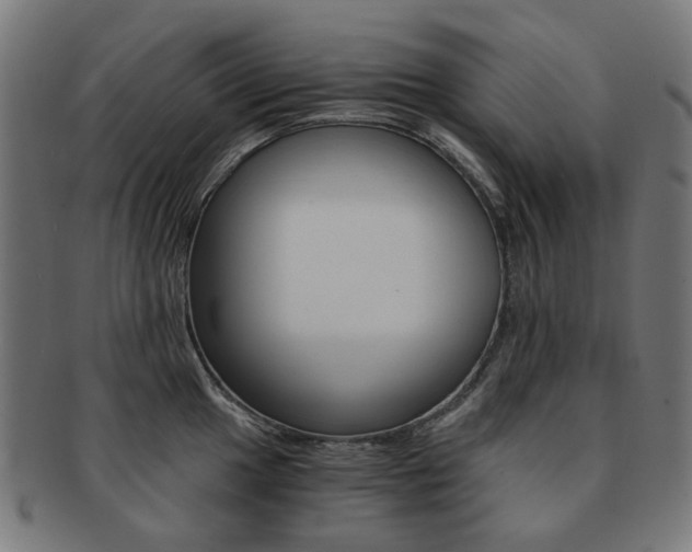 X0000092021049200709061326
