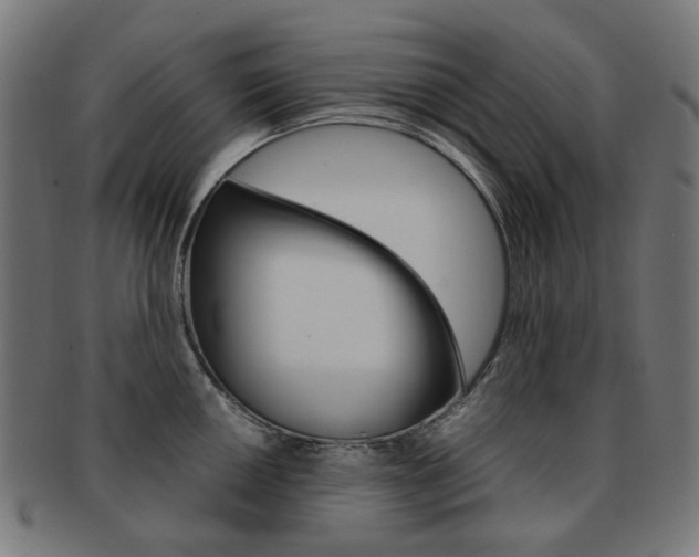 X0000092021050200709061326