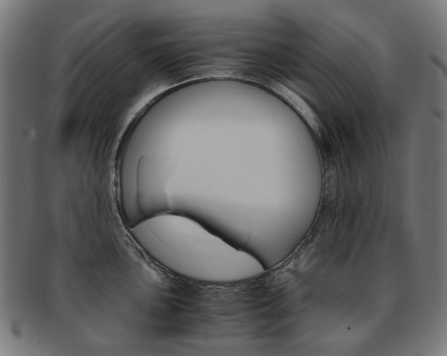 X0000092021051200709061326
