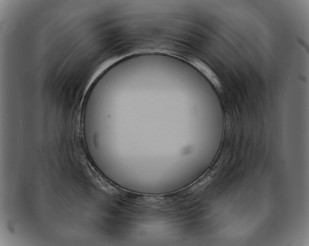 X0000092021052200709061326