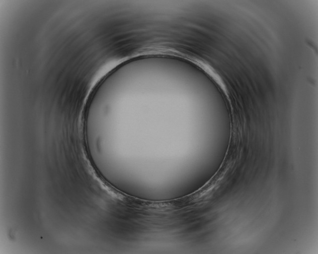X0000092021053200709061326