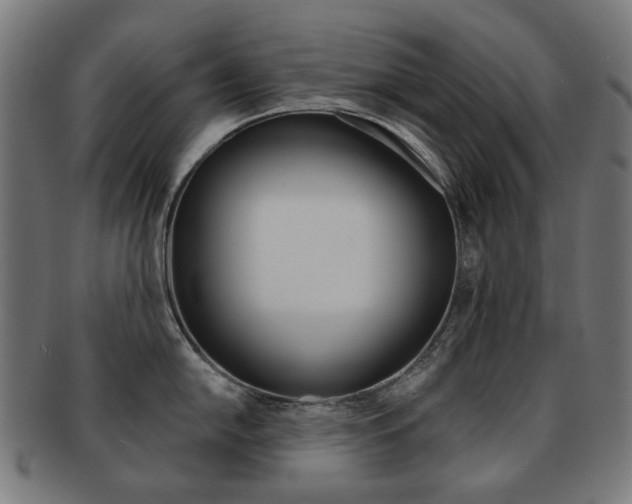 X0000092021054200709061326
