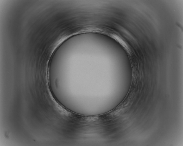 X0000092021055200709061326