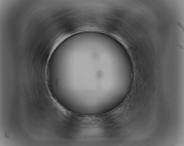 X0000092021056200709061326