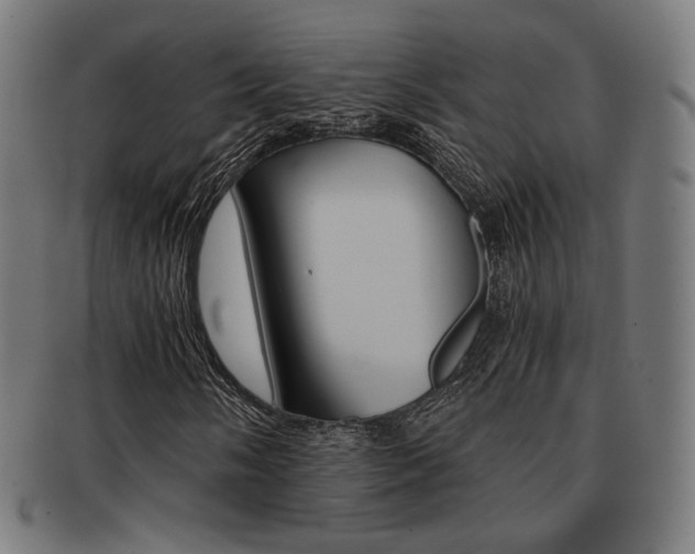 X0000092021058200709061325