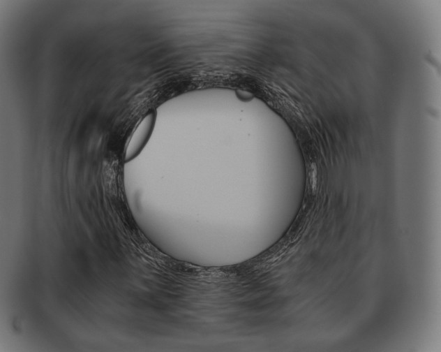 X0000092021059200709061325