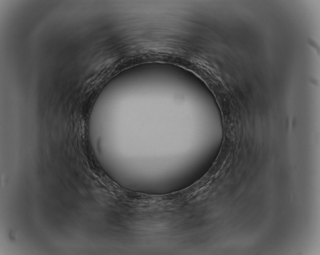 X0000092021061200709061325
