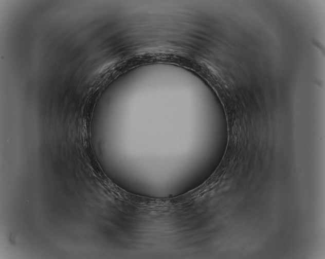 X0000092021062200709061325