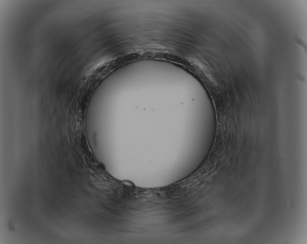 X0000092021063200709061325