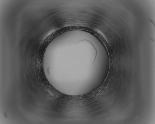 X0000092021064200709061325