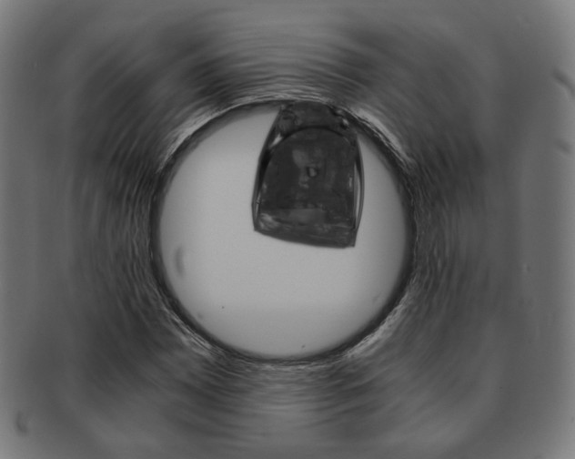 X0000092021065200709061325