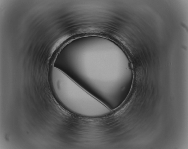 X0000092021066200709061325