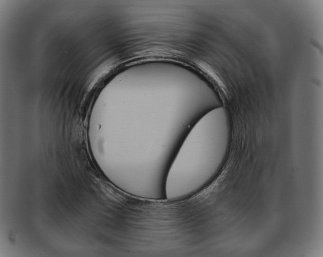 X0000092021067200709061325