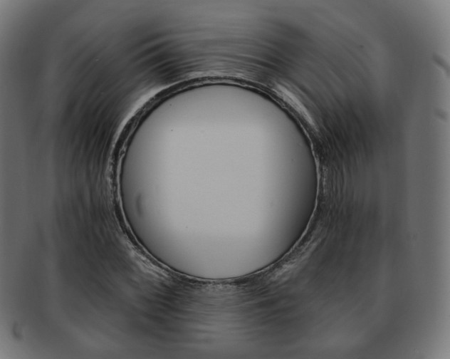 X0000092021068200709061325