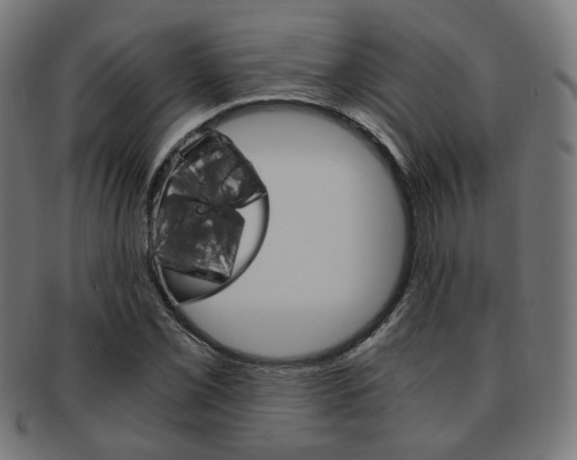 X0000092021069200709061325