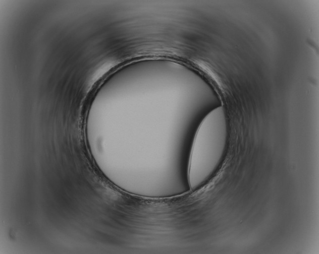 X0000092021071200709061325