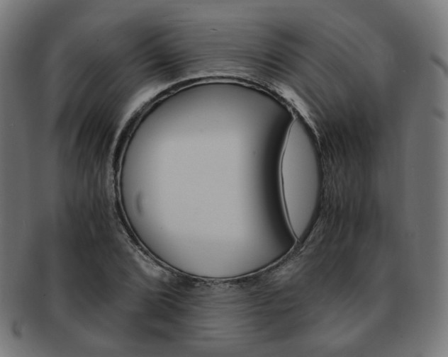 X0000092021072200709061325