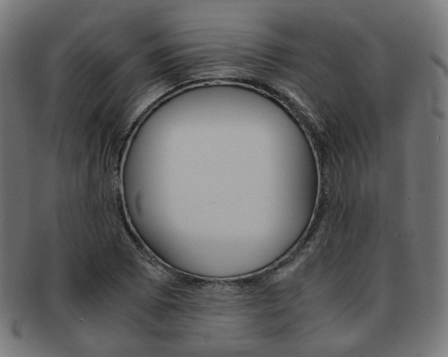 X0000092021073200709061325