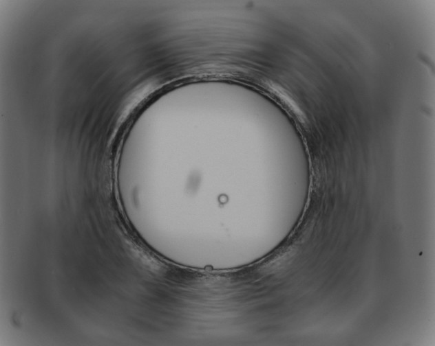 X0000092021075200709061325