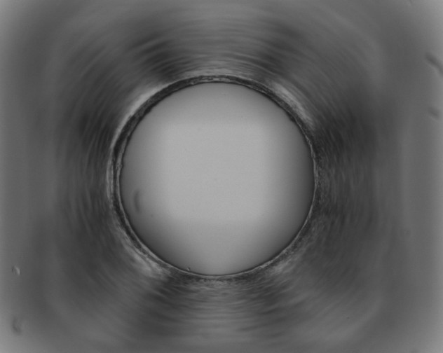 X0000092021076200709061325