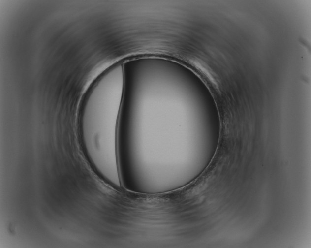 X0000092021077200709061325
