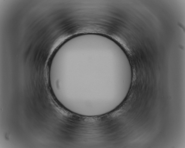 X0000092021078200709061325