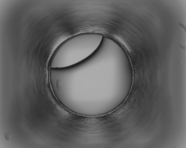 X0000092021079200709061325