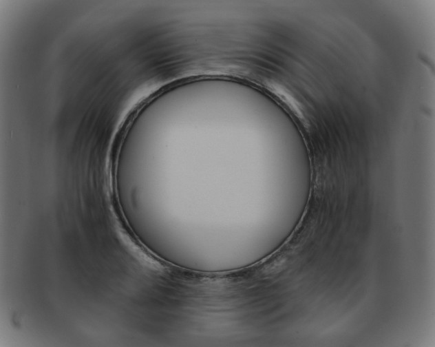 X0000092021080200709061325