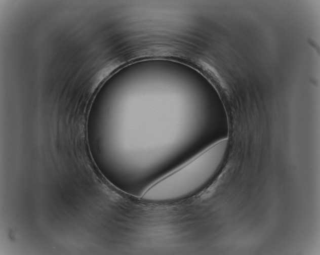 X0000092021081200709061325