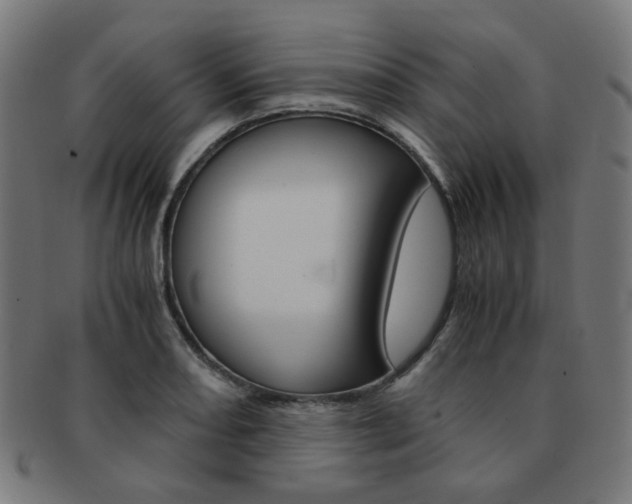X0000092021082200709061325