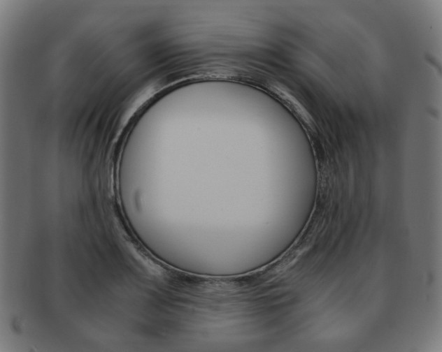 X0000092021083200709061325