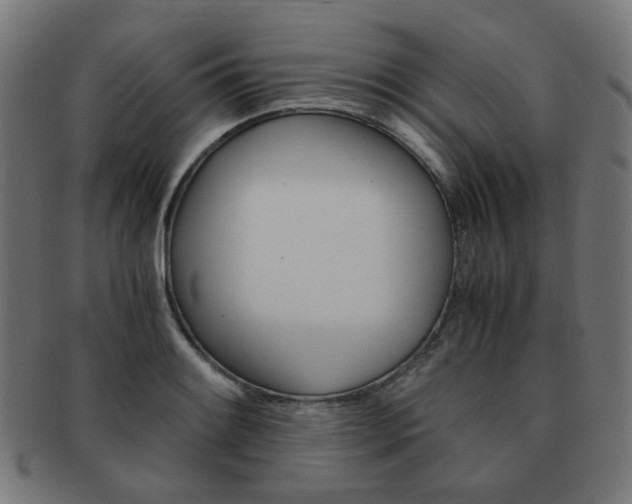 X0000092021084200709061325