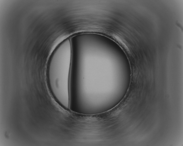 X0000092021085200709061325