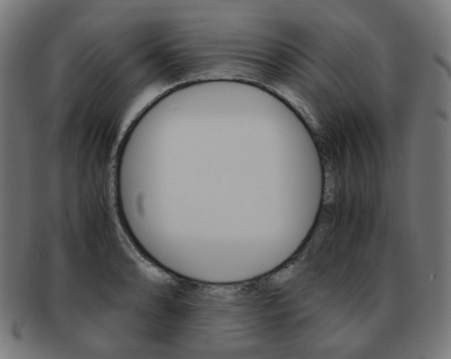 X0000092021086200709061325