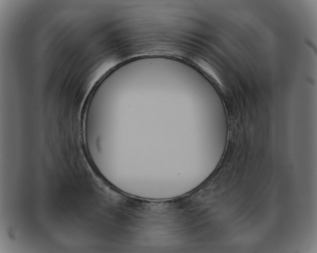 X0000092021087200709061325