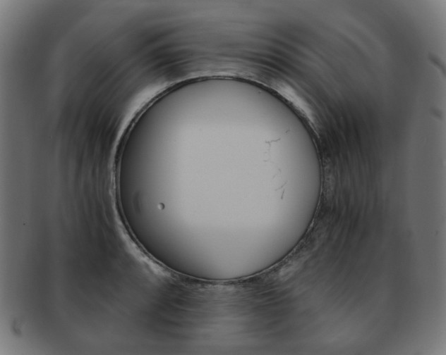 X0000092021088200709061325