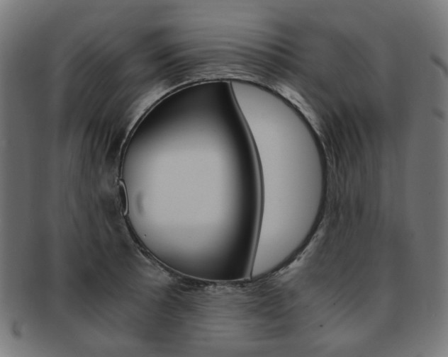 X0000092021089200709061325