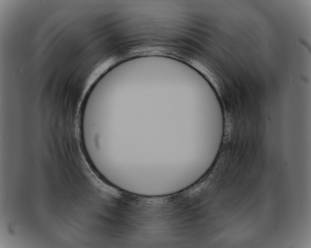 X0000092021090200709061325