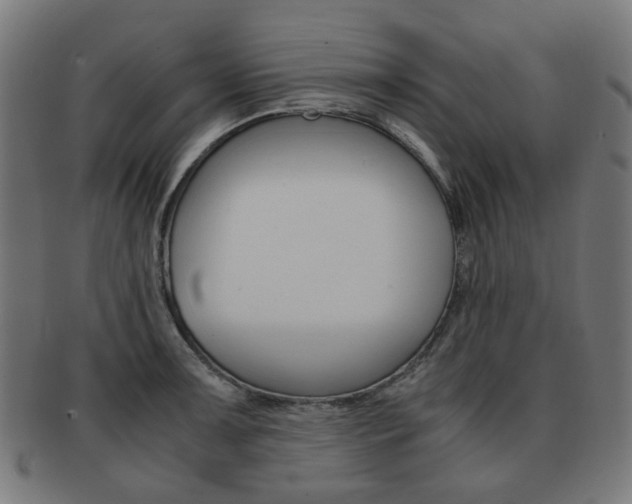 X0000092021091200709061325