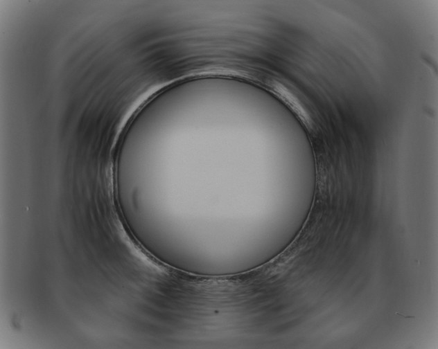 X0000092021092200709061325