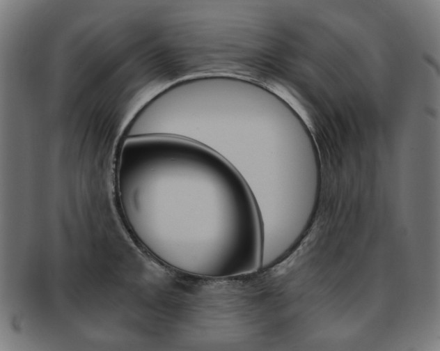 X0000092021093200709061325