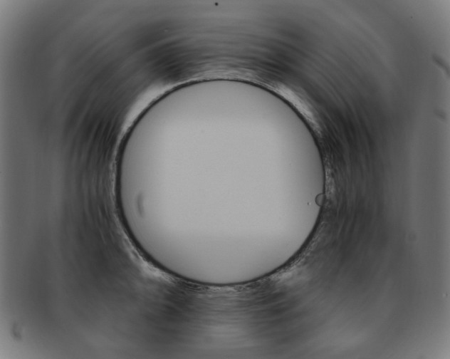 X0000092021094200709061325