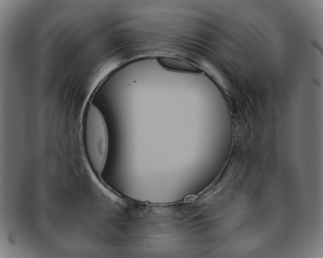 X0000092021095200709061325