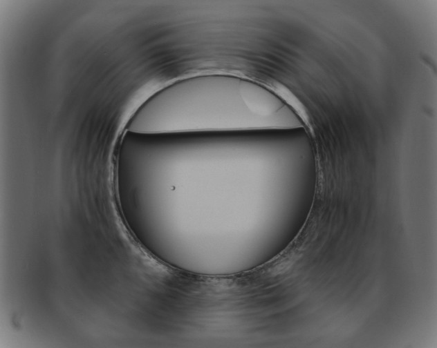 X0000092021096200709061325