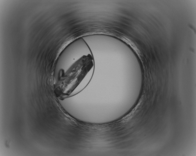 X0000092021097200709061325