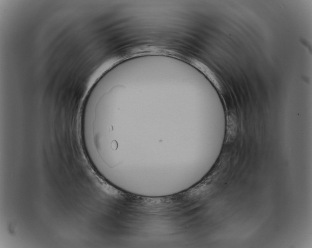 X0000092021098200709061325