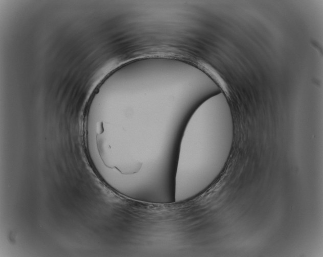X0000092021099200709061325