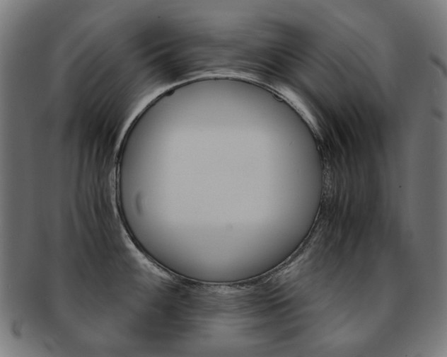 X0000092021100200709061325