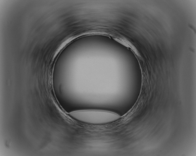 X0000092021101200709061325
